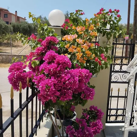 Evdokia Villa Limenaria (Thasos)